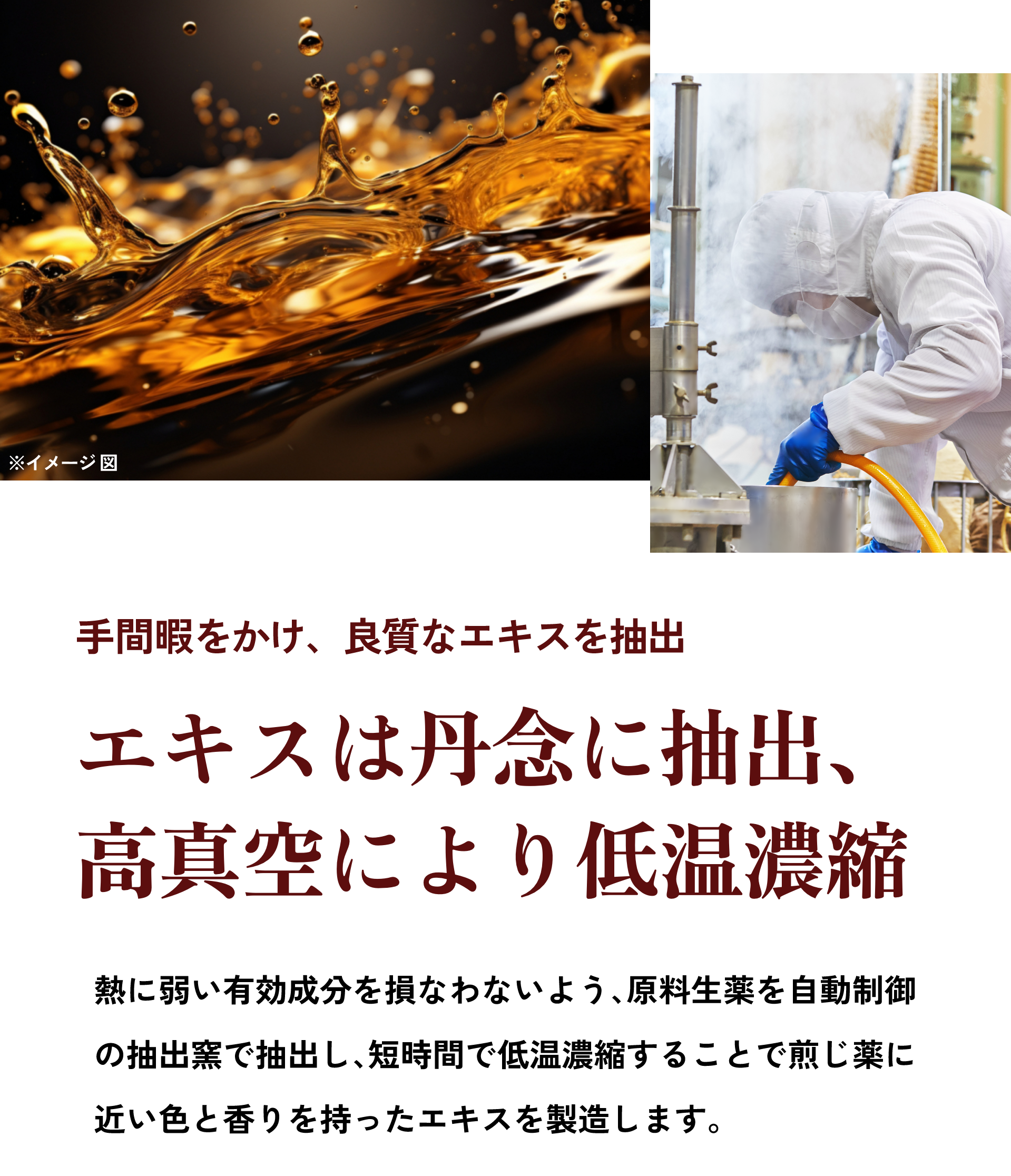 エキスを丹念に抽出、高真空により低温濃縮