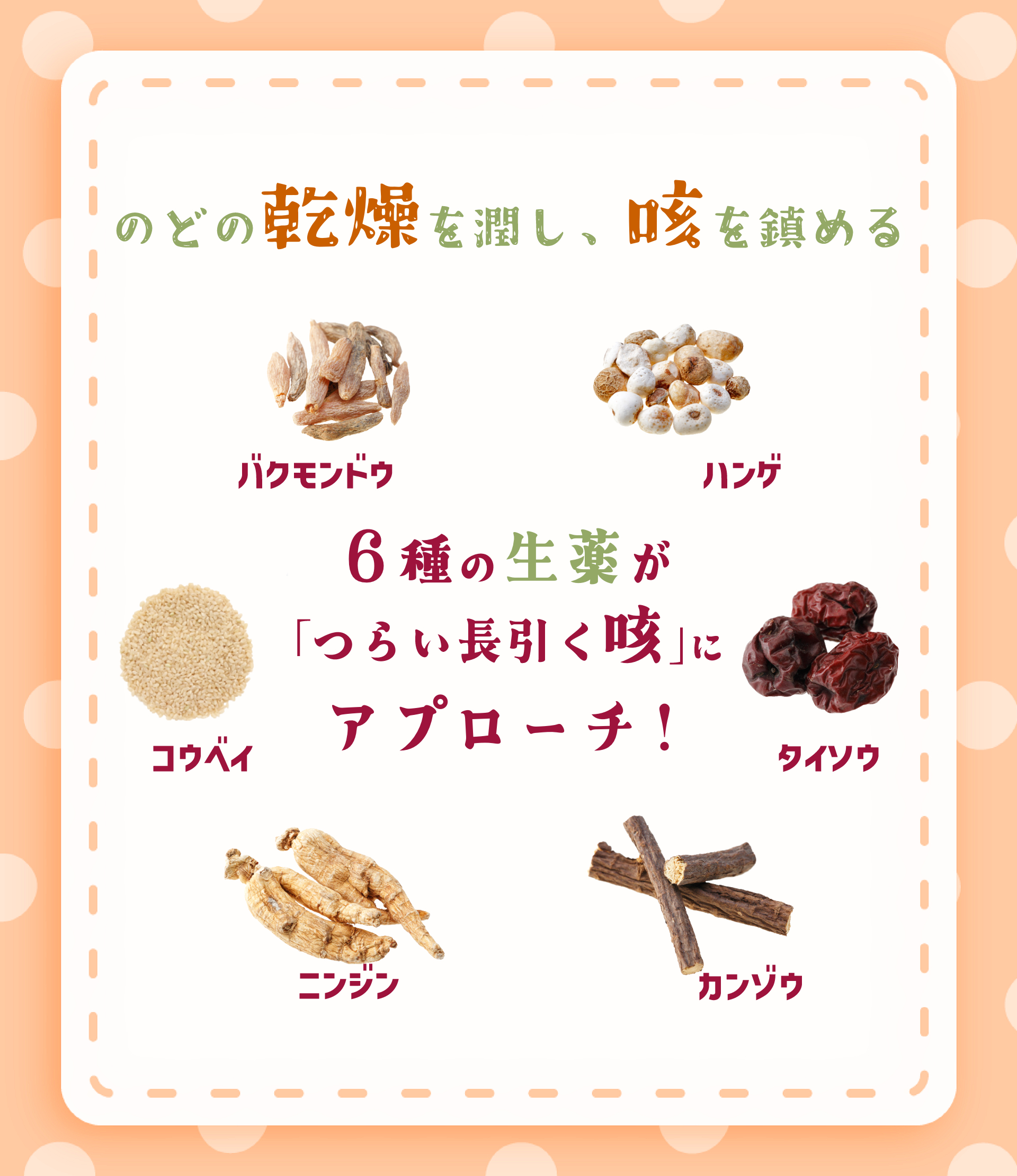 6種の生薬が「つらい長引くかぜにアプローチ！」