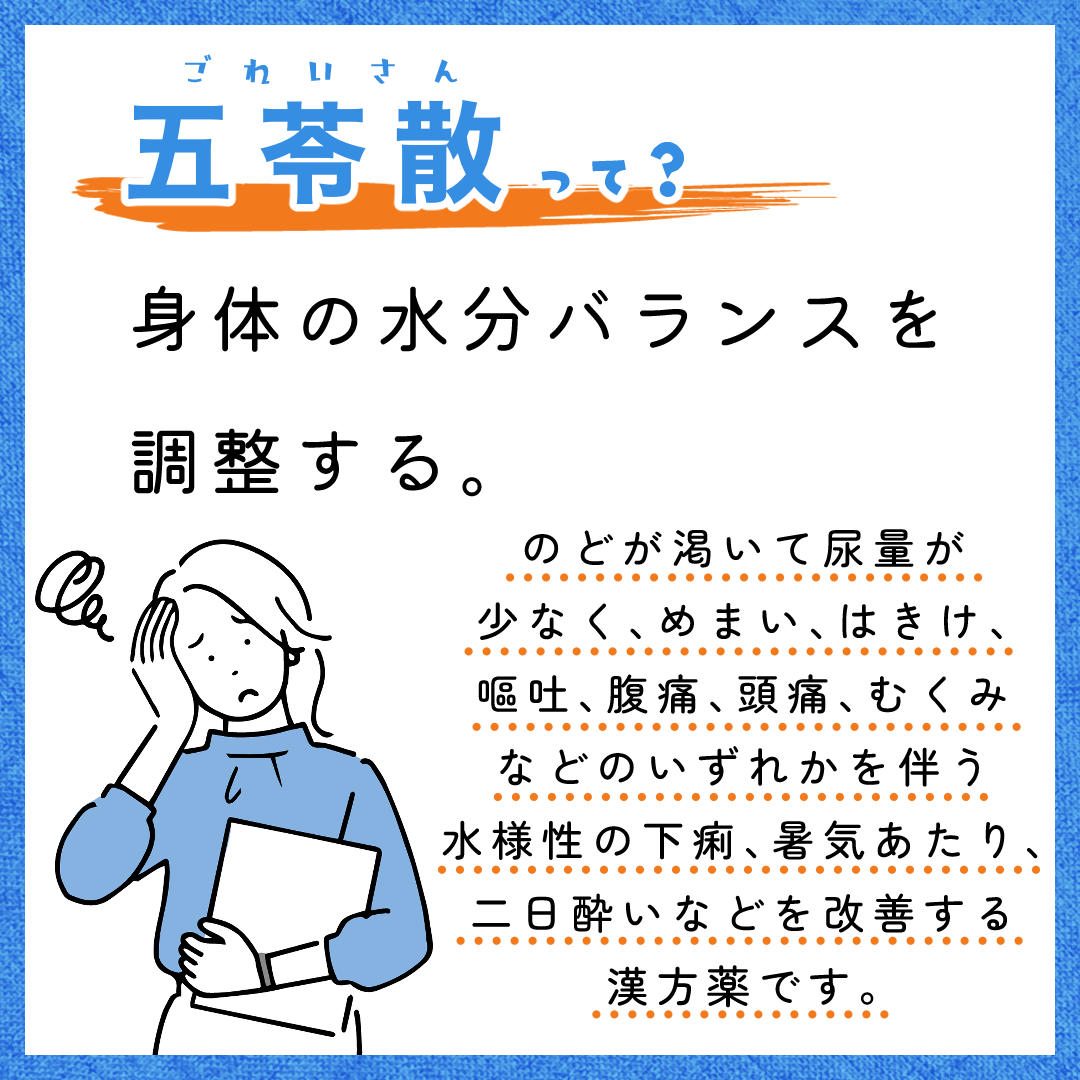 JPS五苓散料エキス錠N【63錠】