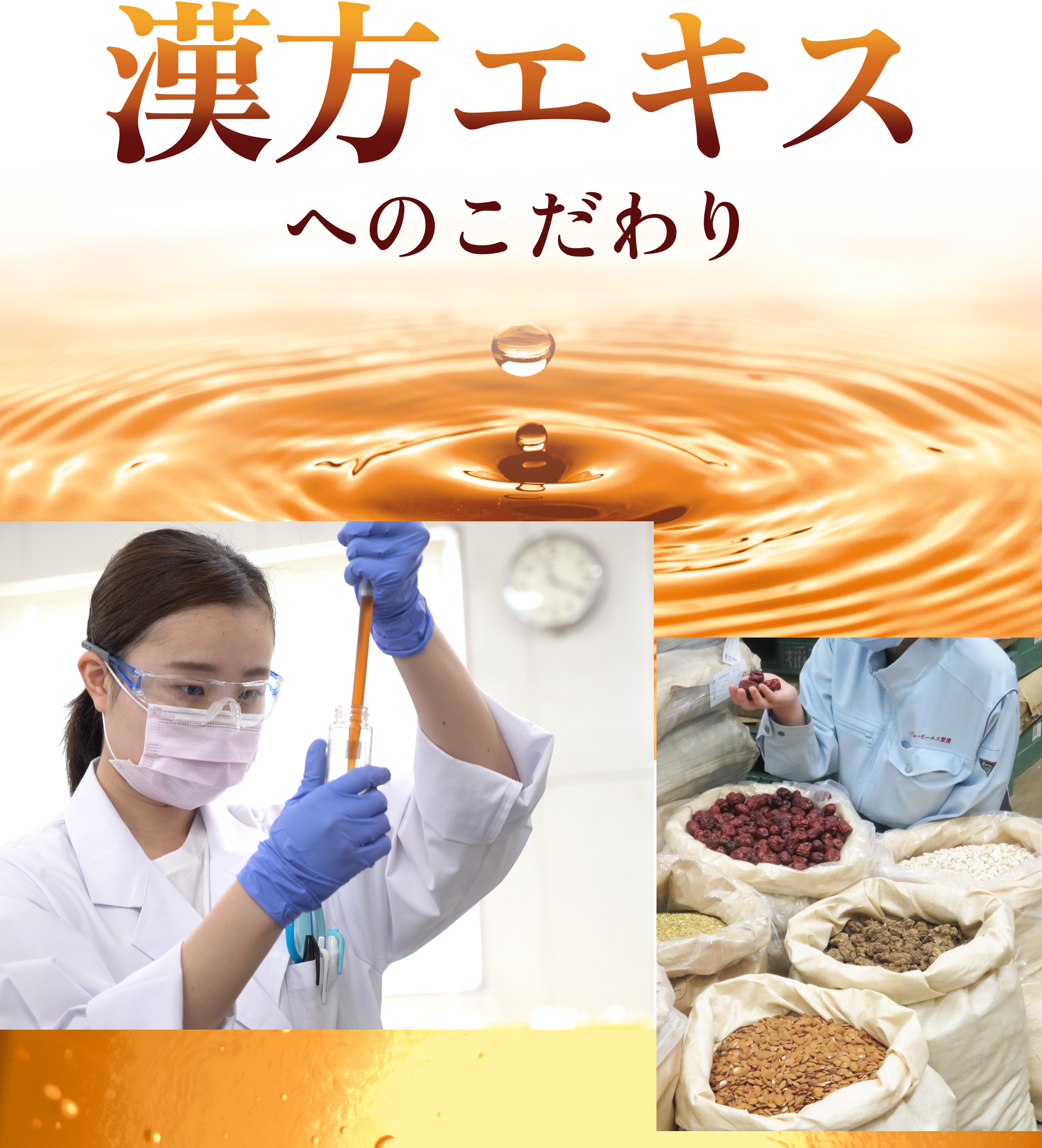 漢方エキスへのこだわり