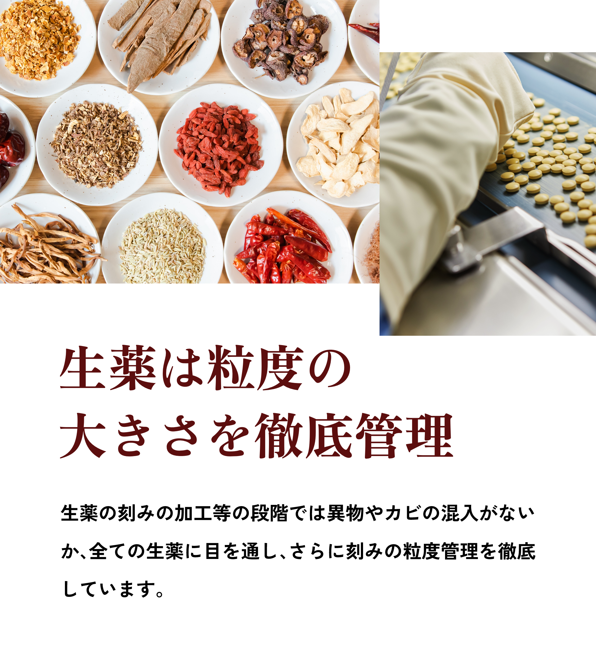 生薬は粒度の大きさを徹底管理
