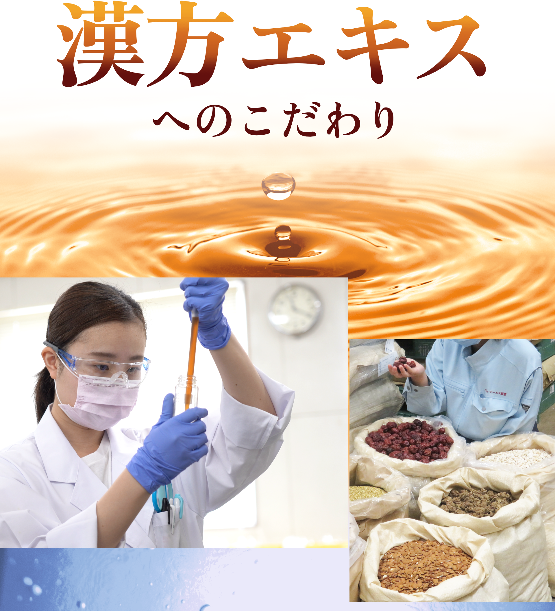 漢方エキスへのこだわり
