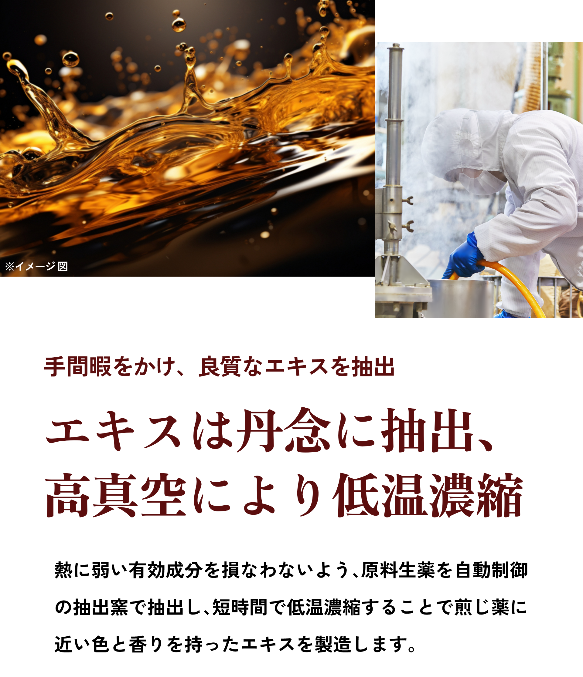 エキスは丹念に抽出、高真空により低温濃縮