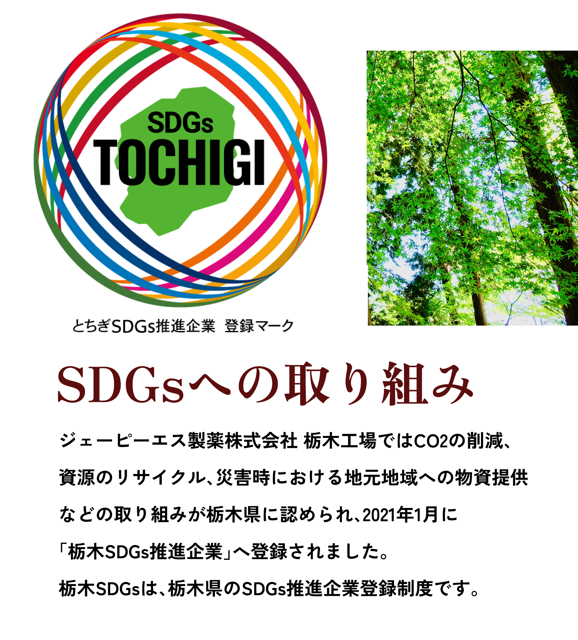 SDGsへの取り組み